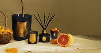 Cire Trudon - 復古與奢華的香薰蠟燭尊榮